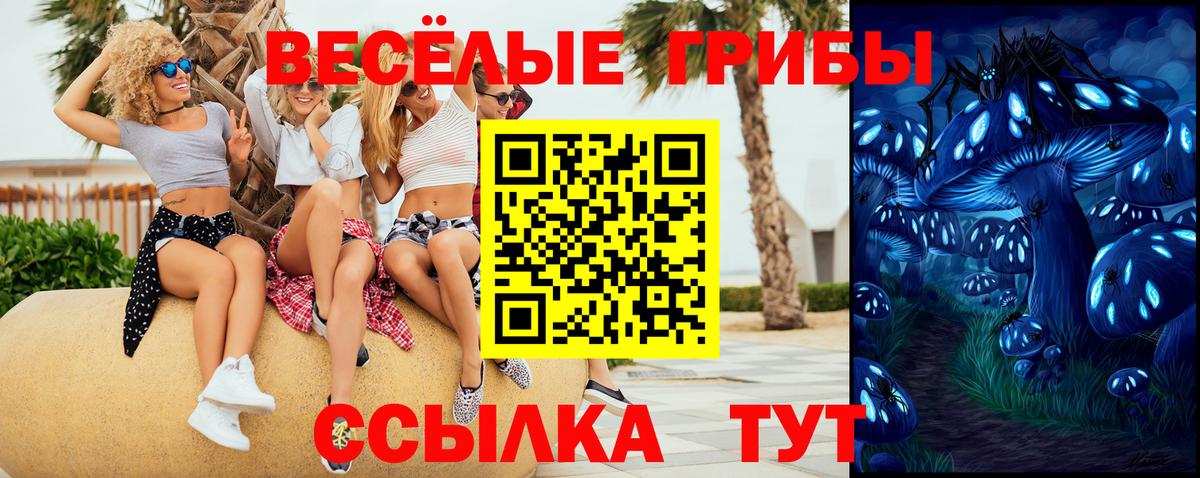 Южно-Сахалинск  где продают наркотики  Галлюциногенные грибы прущие грибы  Вход с VPN  Галлюциногенные грибы Psilocybine cubensis 